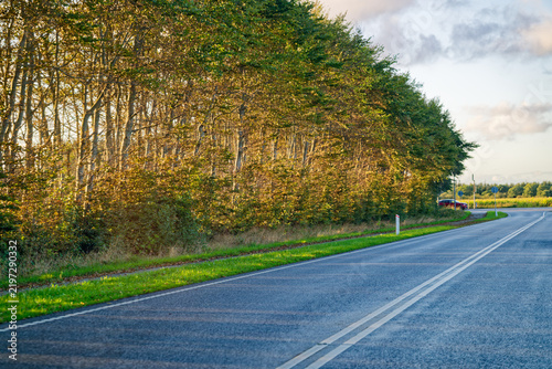 Empty rural road with green trees and blue sky on a sunny day