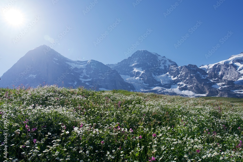 Fototapeta premium panorama of the mountains walley of the tourist region of the Swiss Alps
