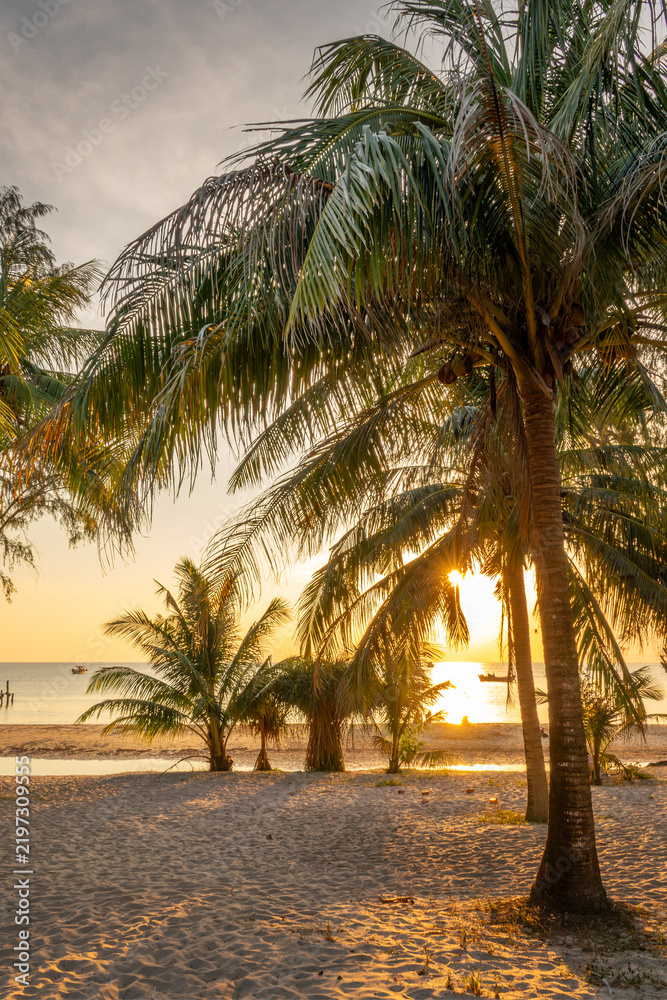 Fototapeta premium Sunset and palm trees at Lazy beach on the island of Koh Rong Sanloem near Sihanoukville, Cambodia