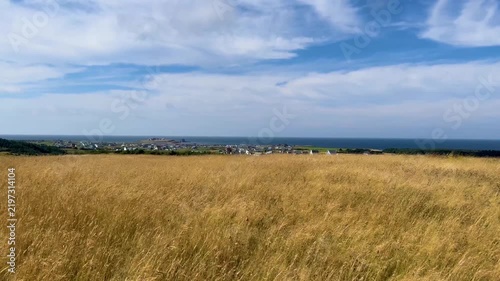 Wind Blowing Through Hilltop Grass in Magdalen Islands