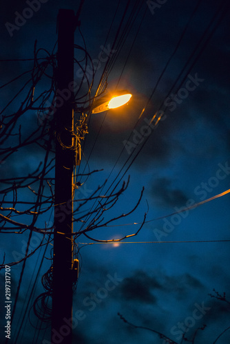 Fotografie Glowing warm street light on wooden pole with electric wires against dark blue n