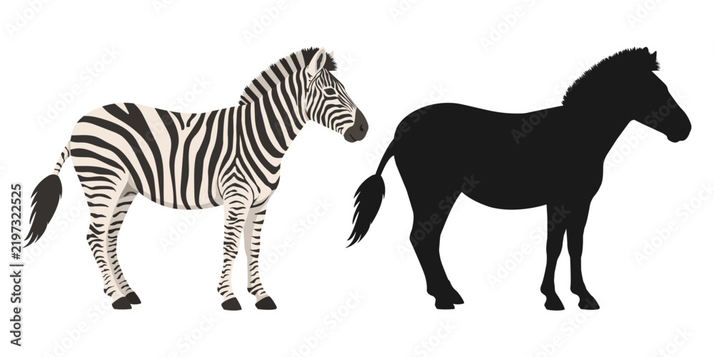Obraz premium Cute cartoon zebra illustration set paired with an identical solid black silhouette. Isolated vector elements for design, stickers, and kids projects