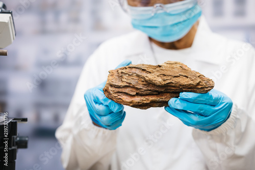 Konstfotografi Masked laboratory scientist wearing blue gloves examines a layered brown rock specimen in a research lab