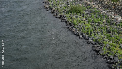 A high-angle the river flowing through the banks lined with banks and green grass.