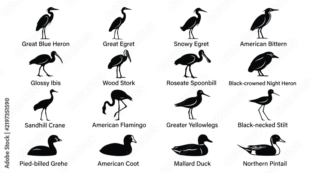 Fototapeta premium Set of sixteen water bird species silhouettes isolated on white background