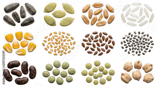 Assorted heaps of various seeds and grains isolated on white background with agriculture sunflower chickpea isolated background
