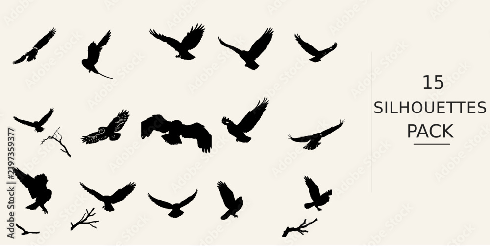 Fototapeta premium Owl Flying Silhouette - Delicate Form Monochrome Silhouette Black Vector Clipart on White Background