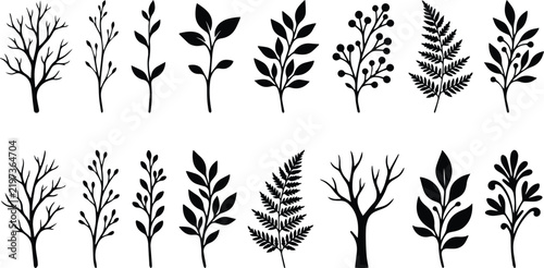 Botanical Plant and Tree Silhouette Collection