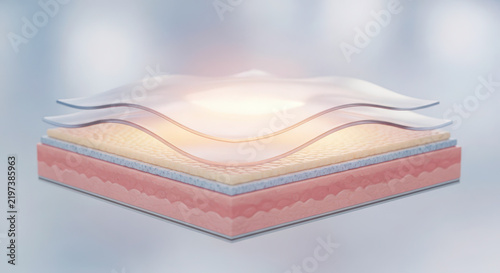 Realistic skin layer anatomy with glowing shield for skincare and cosmetic concept