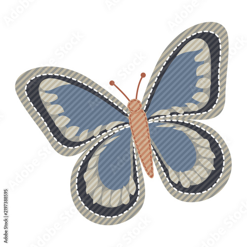 butterfly on a white background