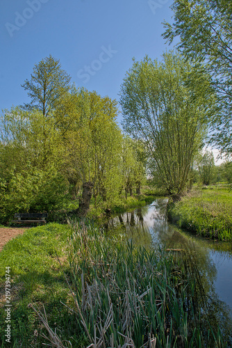 Obraz na plátně Oude Kale, rivulet thorugh a lush green spring landscape in the flemish countrys
