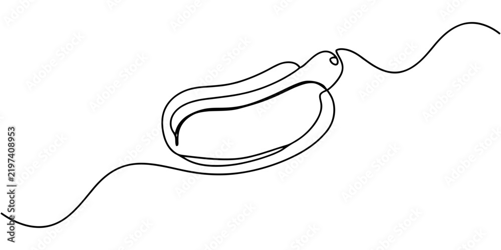 Obraz premium Single line drawing of a fresh banana fruit Vector, illustration