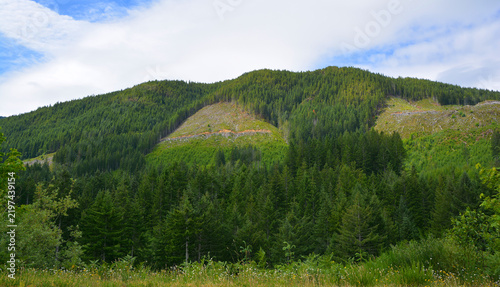 Foto Tofino district landscape west coast of Vancouver Island in the Canadian province of British Columbia