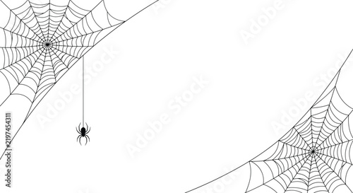 Spider webs with hanging spider vector illustration EPS
