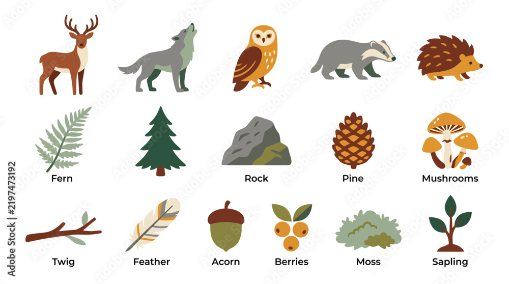 Obraz premium Forest nature collection featuring woodland animals and natural elements.