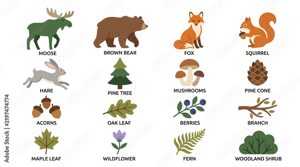 Obraz premium Set of Woodland Forest Animals and Nature Elements Illustrations.