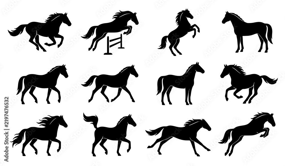 Fototapeta premium Collection of black horse silhouettes in various dynamic poses and movements