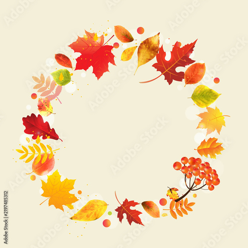 Autumn Banner And Colourfull Autumn Leaves