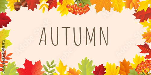 Autumn Banner With Autumn Leaves Border