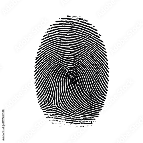 Detailed black and white human fingerprint identification pattern