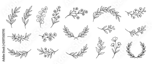 Hand-drawn botanical elements, isolated leaf branches and floral sprigs