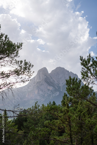 Rocky mountain peak rising above a pine forest under a cloudy blue sky
