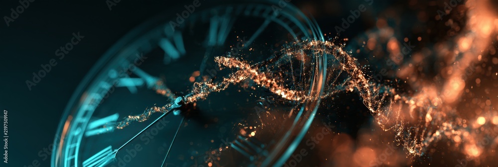 Obraz premium A wide panoramic view of a clock made of glowing DNA strands showing telomere caps as clock hands against a dark background with teal and amber glow.