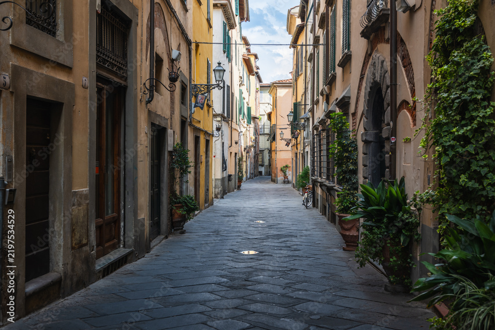 Obraz premium Charming narrow historic alley with traditional stone pavement, old buildings, and green plants in an old town in Italy.
