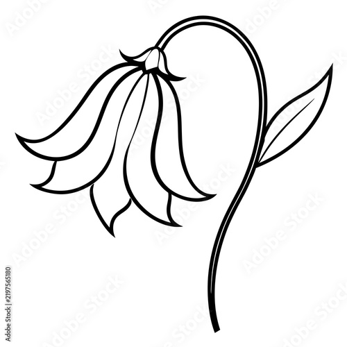 Minimal Bluebell Vector on White