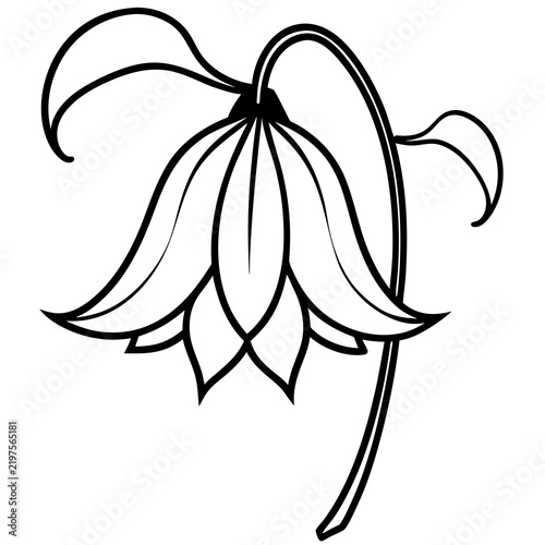Minimal Bluebell Vector on White