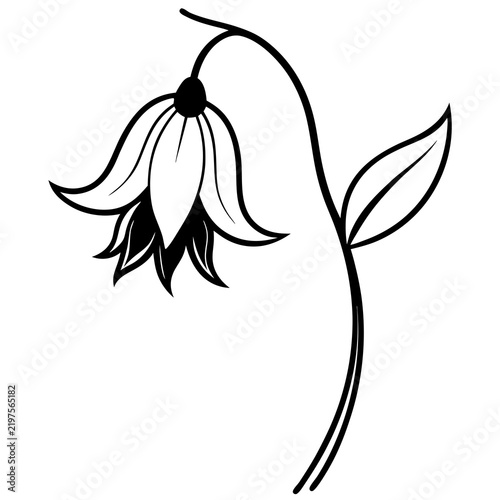 Minimal Bluebell Vector on White