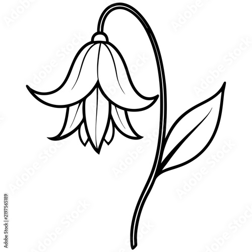 Minimal Bluebell Vector on White