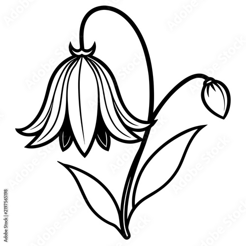 Minimal Bluebell Vector on White