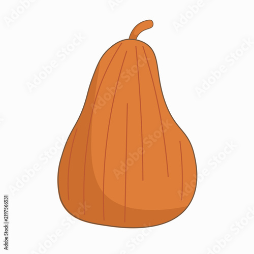 Картината върху платно A ripe, orange, elongated pear-shaped pumpkin. Vector icon.