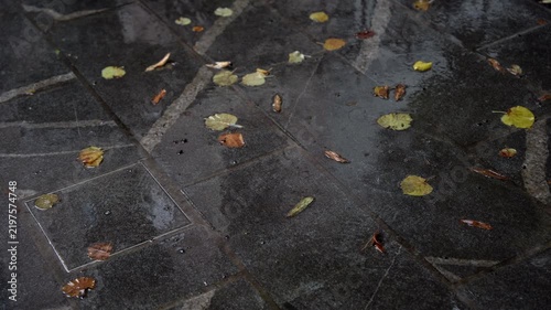 Rain falling on wet stone pavement with fallen autumn leaves