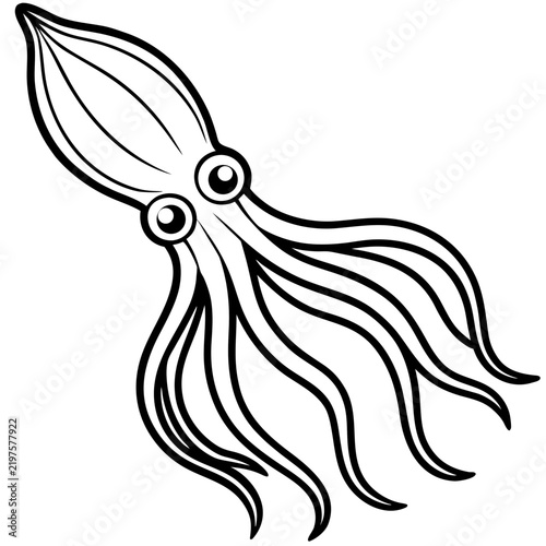Minimal Cuttlefish Illustration