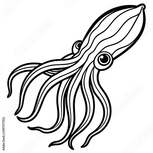 Minimal Cuttlefish Illustration