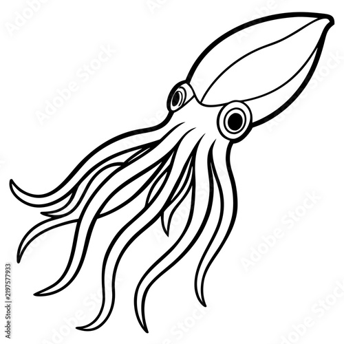 Minimal Cuttlefish Illustration