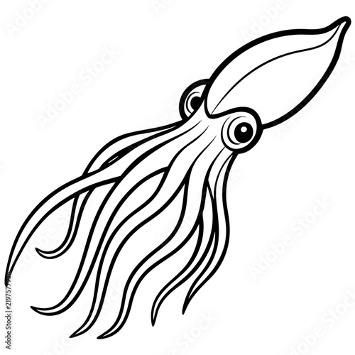 Minimal Cuttlefish Illustration