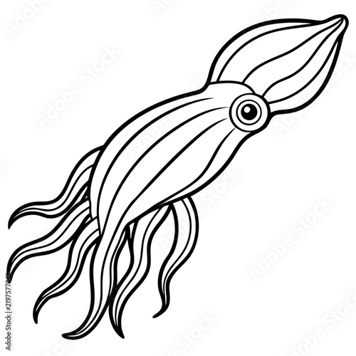 Minimal Cuttlefish Illustration