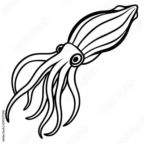 Minimal Cuttlefish Illustration