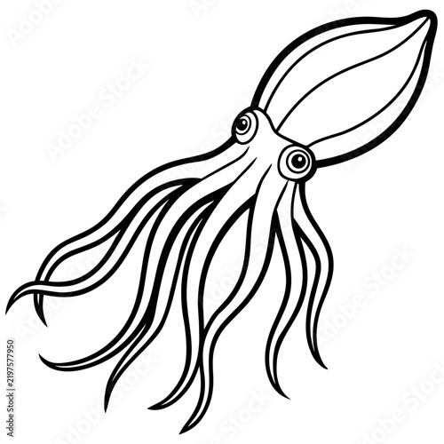Minimal Cuttlefish Illustration