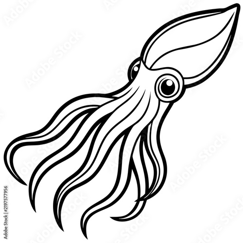 Minimal Cuttlefish Illustration