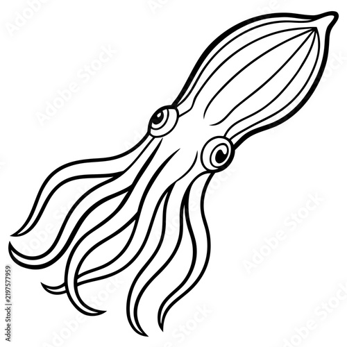 Minimal Cuttlefish Illustration