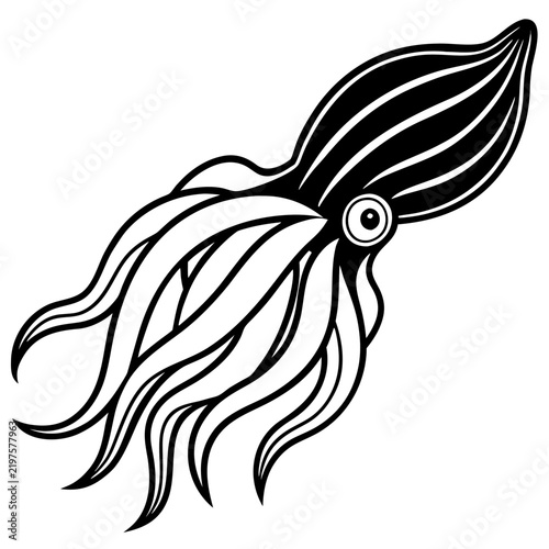 Minimal Cuttlefish Illustration
