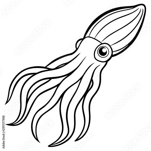 Minimal Cuttlefish Illustration