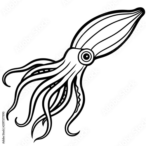 Minimal Cuttlefish Illustration