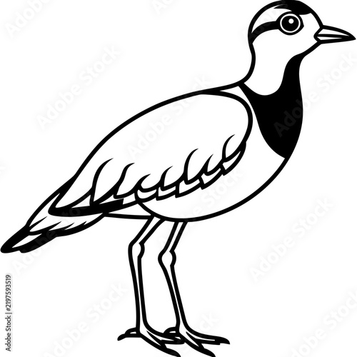 Minimal Dotterel Line Art Vector on White Background