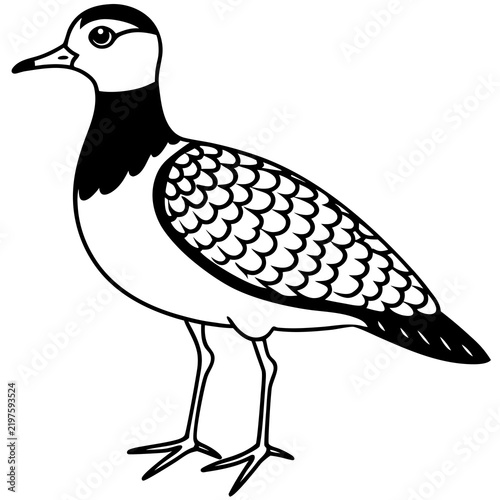 Minimal Dotterel Line Art Vector on White Background