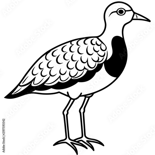Minimal Dotterel Line Art Vector on White Background